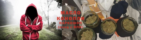 тгк Бородино