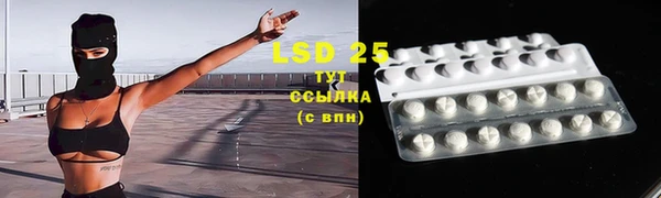 тгк Бородино