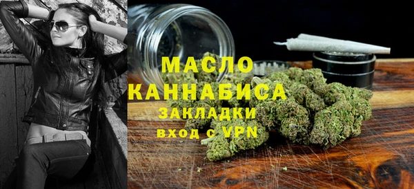 тгк Бородино