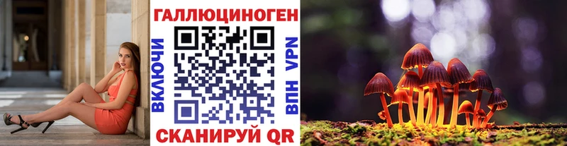 Псилоцибиновые грибы MAGIC MUSHROOMS  цены наркотик  Тосно 